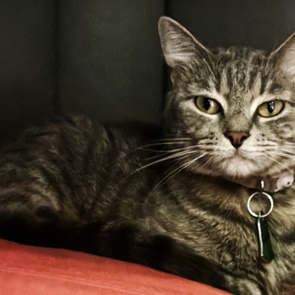 You’re a Sparkle away from your Divinity. 
Embrace it! - Picture 3 of 6